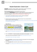 Gizmos Student Exploration : Carbon Cycle Answer Key 