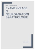 Examenvragen neuroanatomie&pathologie 2020-2021