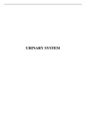 Urinary System APES1001 MBBCH I