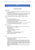 Apuntes Tema 10 Derecho Constitucional II