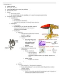 Resumen del capitulo 23 del libro Microbiología y Parasitología Médicas de Guillem Prats