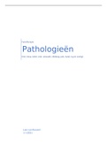 95 pagina's aan uitgewerkte pathologieën opleiding fysiotherapie 