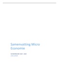 Bundel samenvatting micro en macro economie - schakelprogramma bedrijfskunde