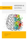 Samenvatting hersenen en gedrag: hersenwerk