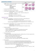 Samenvatting  Algemene Histologie (D012570A)