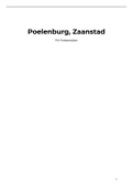 Aardrijkskunde verslag probleemwijk Poelenburg