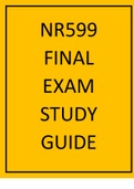 NR599 final exam study guide 2022