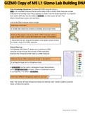 Exam (elaborations) GIZMO Copy of M5 L1 Gizmo Lab Building DNA 