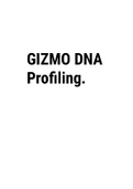 Exam (elaborations) GIZMO DNA Profiling 
