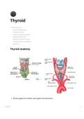 Overview of thyroid anatomy, physiology, pathology and cancers.