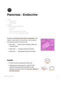 Endocrine pancreas physiology and pathology (diabetes)