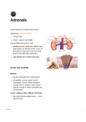 Adrenal physiology and common pathologies