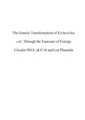 Lab Report Gene Expression