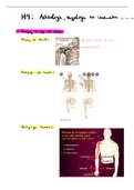 H4: deel 1 Functionele anatomie: extremiteiten en romp (boek van prof Tom Van Hoof )