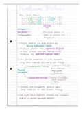 Class notes Cellular biology Membrane proteins