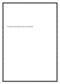 Comprehensive Material Series Audit Reports&period;