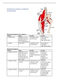  Prometheus anatomische atlas 1 - Algemene anatomie en bewegingsapparaat&comma; ISBN&colon; 9789036815383  