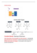 Biochemistry C 785 New Study Guide 2021/22 