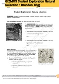 Exam &lpar;elaborations&rpar; GIZMOS Student Exploration Natural Selection 1 Brandon Trigg 