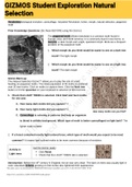 Exam &lpar;elaborations&rpar; GIZMOS Student Exploration Natural Selection 