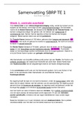 Samenvatting Inleiding Staats- En Bestuursrecht &lpar;SBRP&rpar;