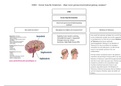 Graduaat Orthopedagogie | Doelgroepen B - Mindmap samenvatting EHBO (Eerste Hulp Bij Omdenken)