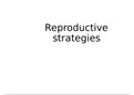Life sciences Gr12 IEB&colon; Reproductive strategies