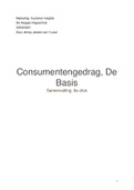 Samenvatting Consumentengedrag: De Basis (1-6 & 15-16)