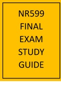 NR599 final exam study guide 2022