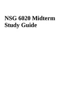 NSG 6020 MIDTERM EXAM &vert; NSG 6020 Midterm Study Guide&period;