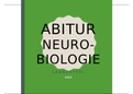 Abiturlernzettel Biologie (Neurobiologie)