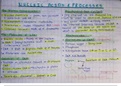  DNA, Chromosomes & Meiosis and Genetics Notes (IEB Biology)
