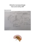 Meest uitgebreide en kloppende samenvatting voor je toets over (neuro) psychologie en de anatomie in de hersenen
