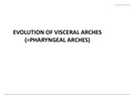 evolution of visceral arches
