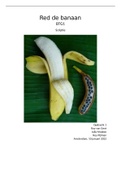 Scriptie Red de banaan; genetische aanpassing tegen fusariumschimmel