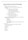 Samenvatting Anatomie en fysiologie&comma; met MyLab NL toegangscode 6e editie&comma; ISBN&colon; 9789043032346  Anatomie En Fysiologie