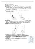 Anatomie van de pols en het hand