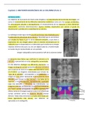 Radiología anatómica de la columna(subrayado)