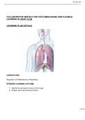 Lung anatomy 