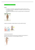 Anatomie Lymfestelsel