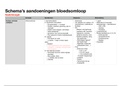 Schema's en overzicht ziekten - Bloedsomloop