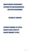 MNG3701 ANALYSIS ASSIGNMENT