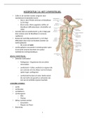 anatomie en fysiologie 1 lymfestelsel