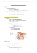 anatomie en fysiologie deel 2 voortplantingsstelsel