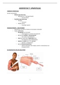 anatomie en fysiologie 2 spierstelsel