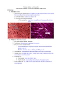 ANAT 1: Nervous System Lab Exam Study Guide