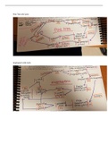 Plant Life Cycle Diagrams- Biology