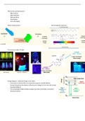 Fluorescence, fluorescent proteins, their application in biomedical research and diagnostics