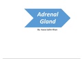 Adrenal Gland (endocrinology B.s 7th semester)