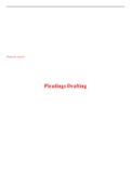 Pleadings Drafting